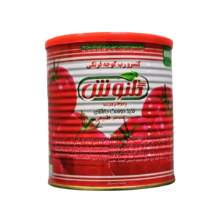 Paste tomate 28/30 800g